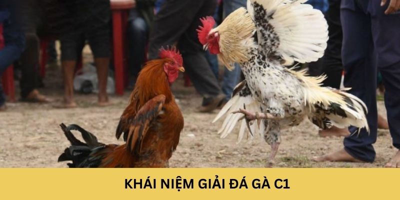 Khái niệm của giải đá gà C1