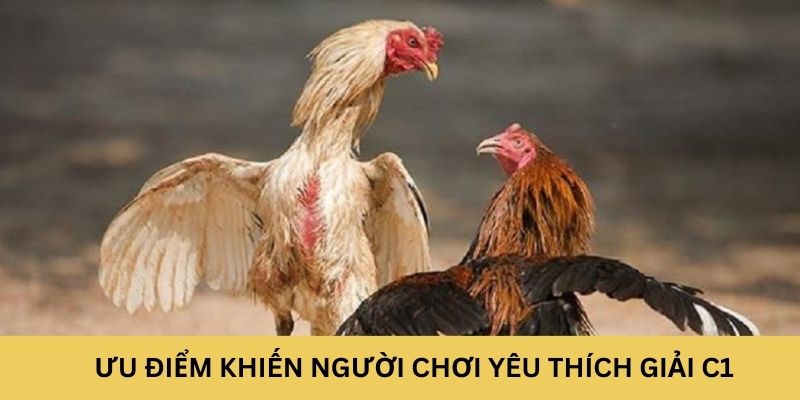 Ưu điểm khiến người chơi yêu thích giải C1