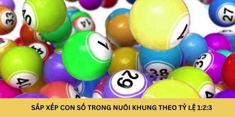 Sắp xếp con số trong nuôi khung theo tỷ lệ 1:2:3